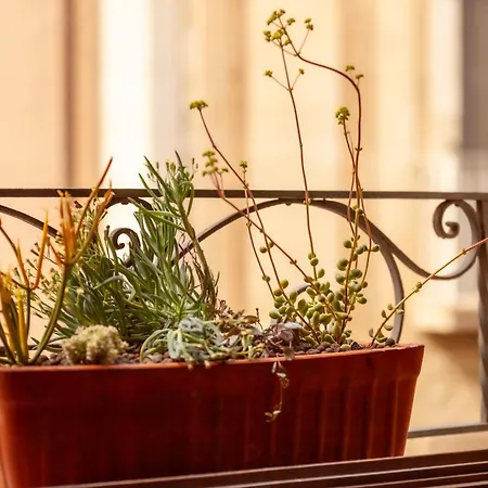 Apartment Nou3 Girona
